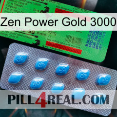 Zen Power Gold 3000 new03